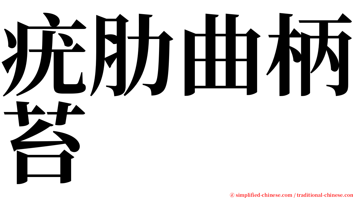 疣肋曲柄苔 serif font