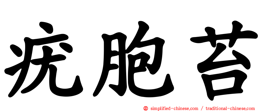 疣胞苔