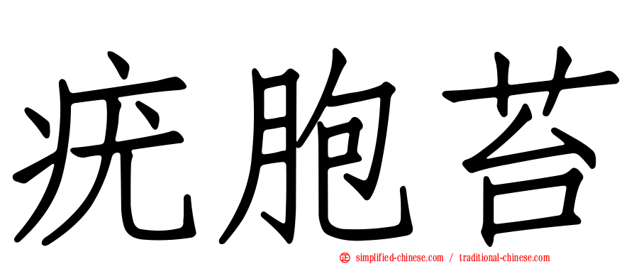 疣胞苔