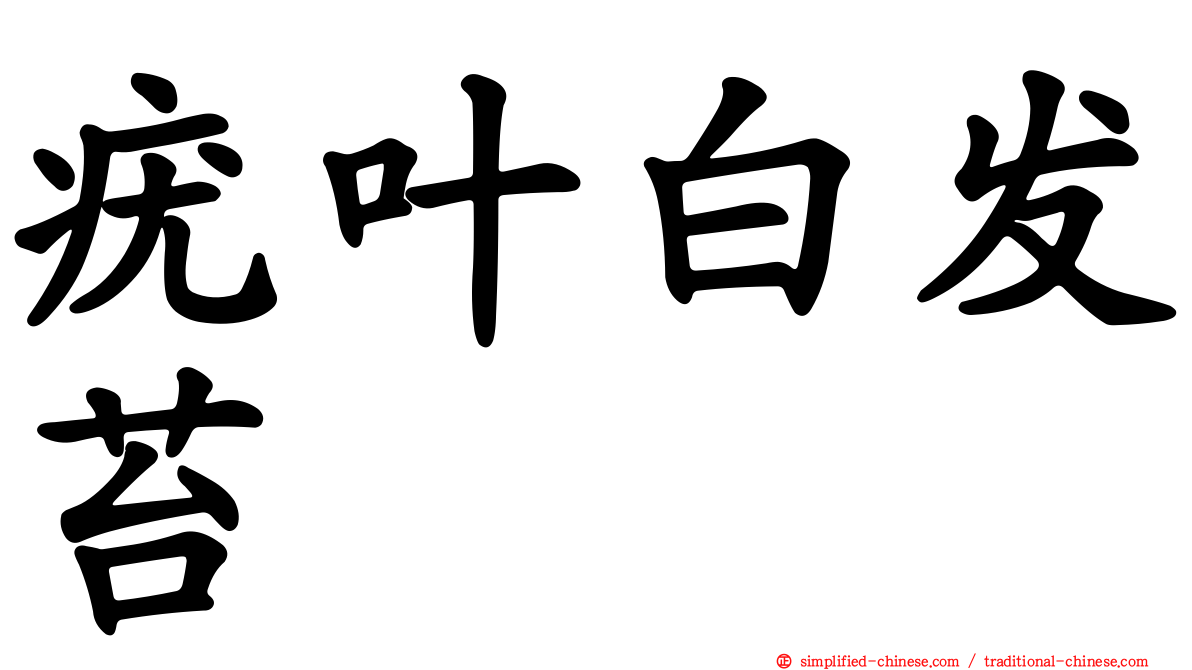 疣叶白发苔