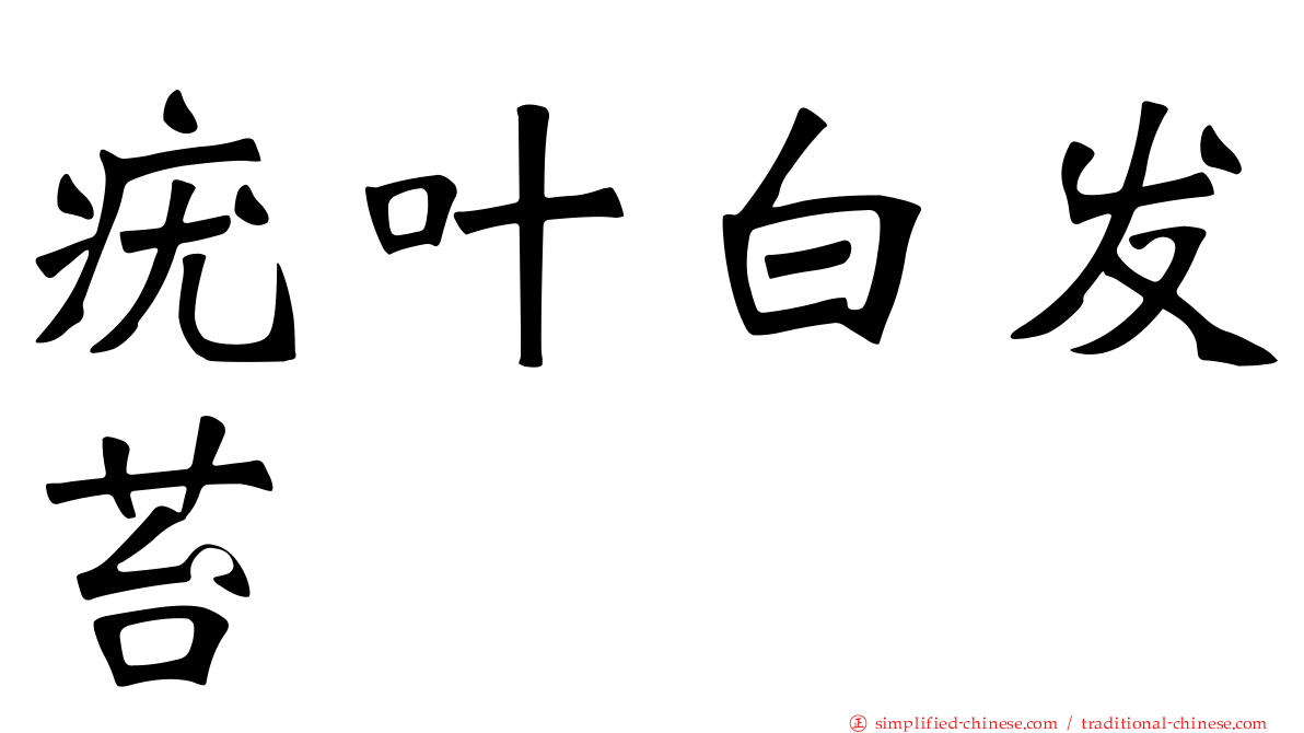 疣叶白发苔