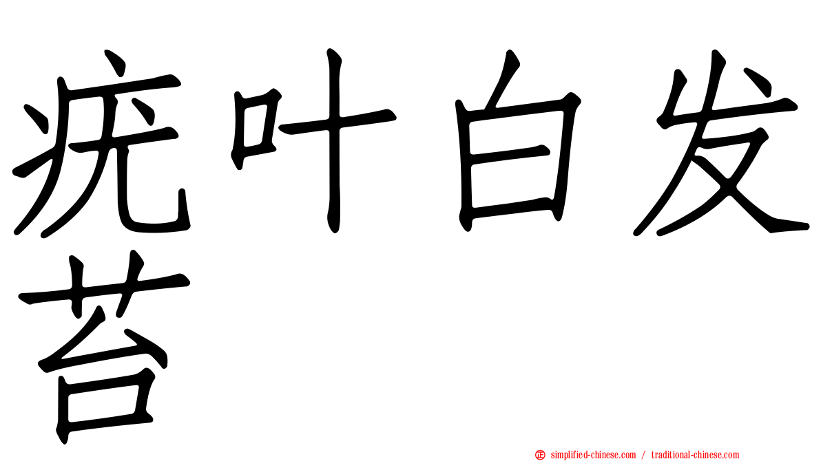 疣叶白发苔