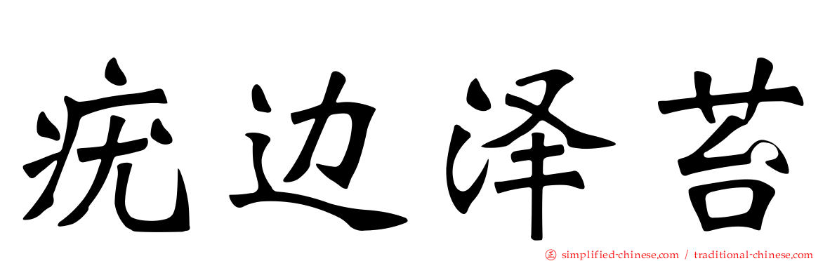 疣边泽苔