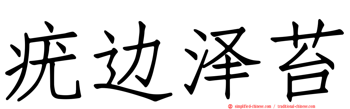 疣边泽苔