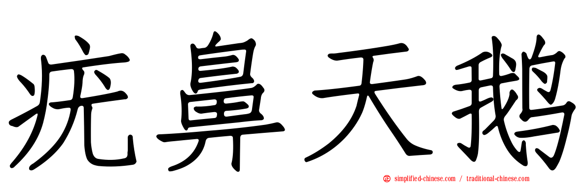 疣鼻天鹅