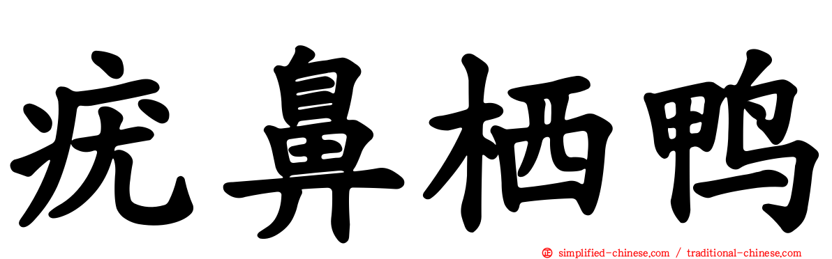疣鼻栖鸭