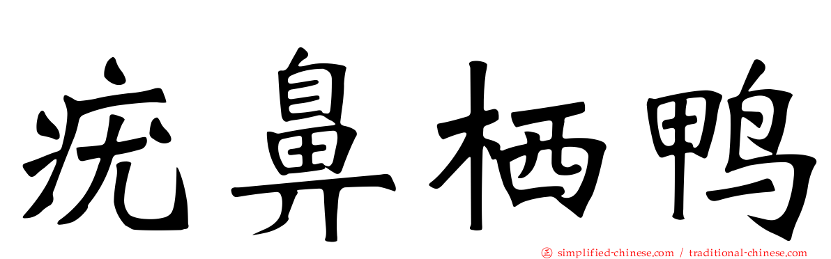 疣鼻栖鸭