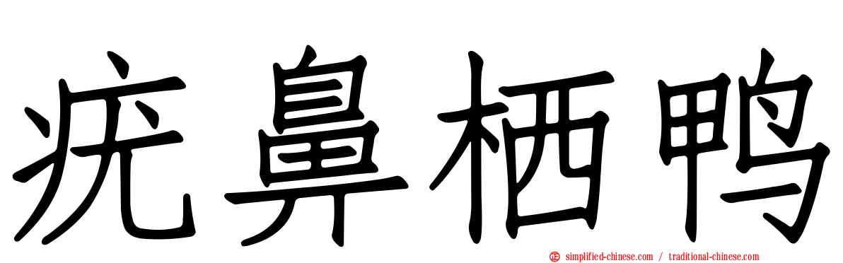 疣鼻栖鸭
