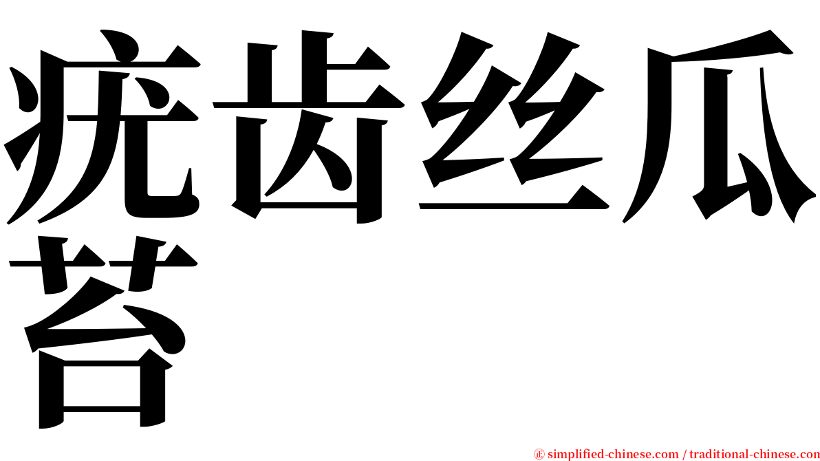 疣齿丝瓜苔 serif font