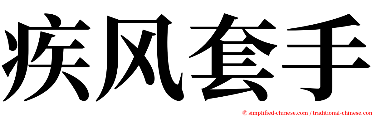 疾风套手 serif font