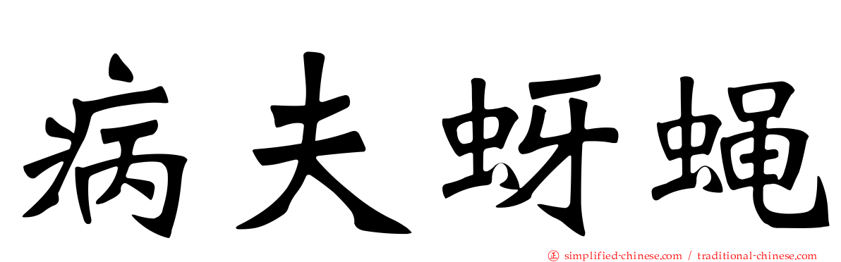 病夫蚜蝇