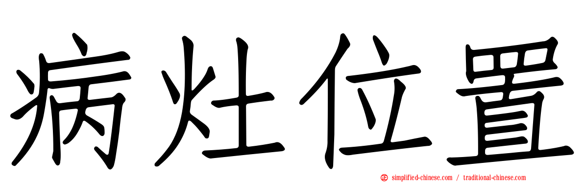 病灶位置