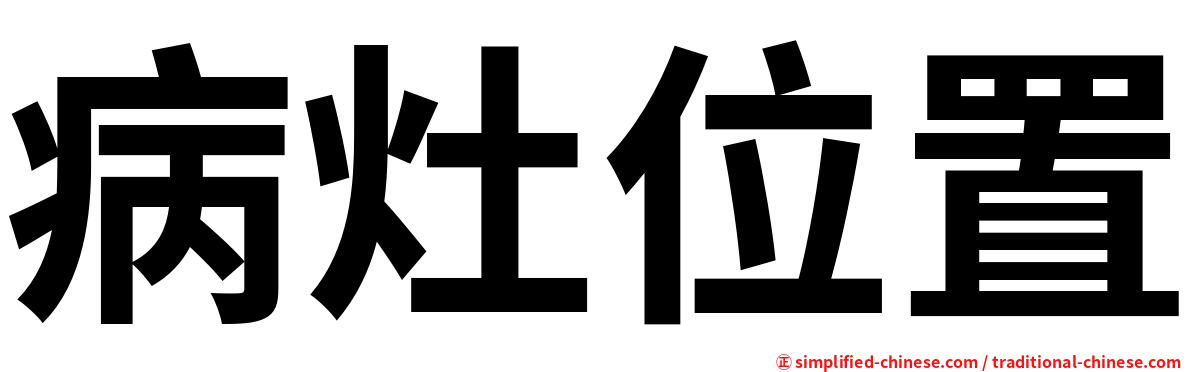 病灶位置