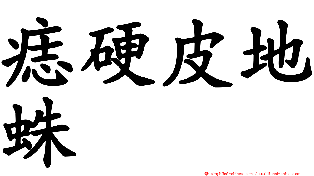 痣硬皮地蛛