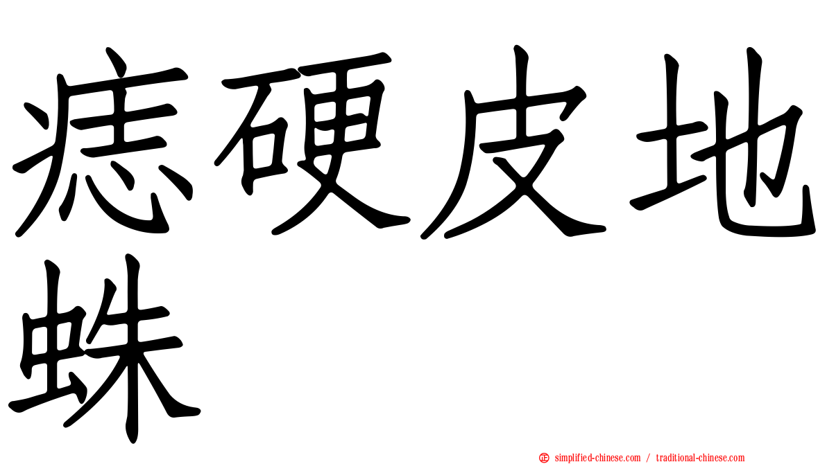 痣硬皮地蛛