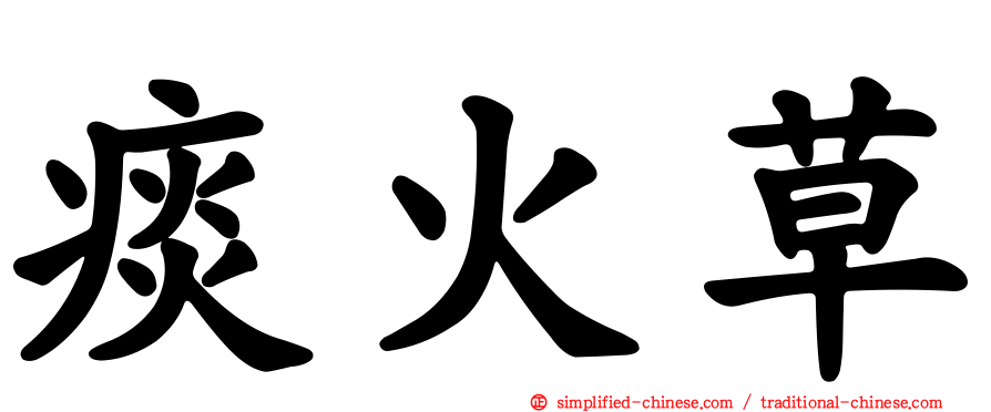 痰火草