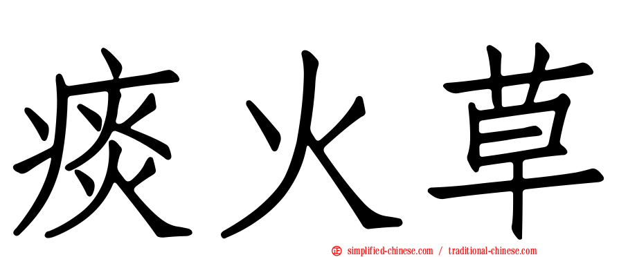 痰火草