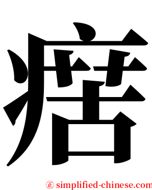 瘔 serif font