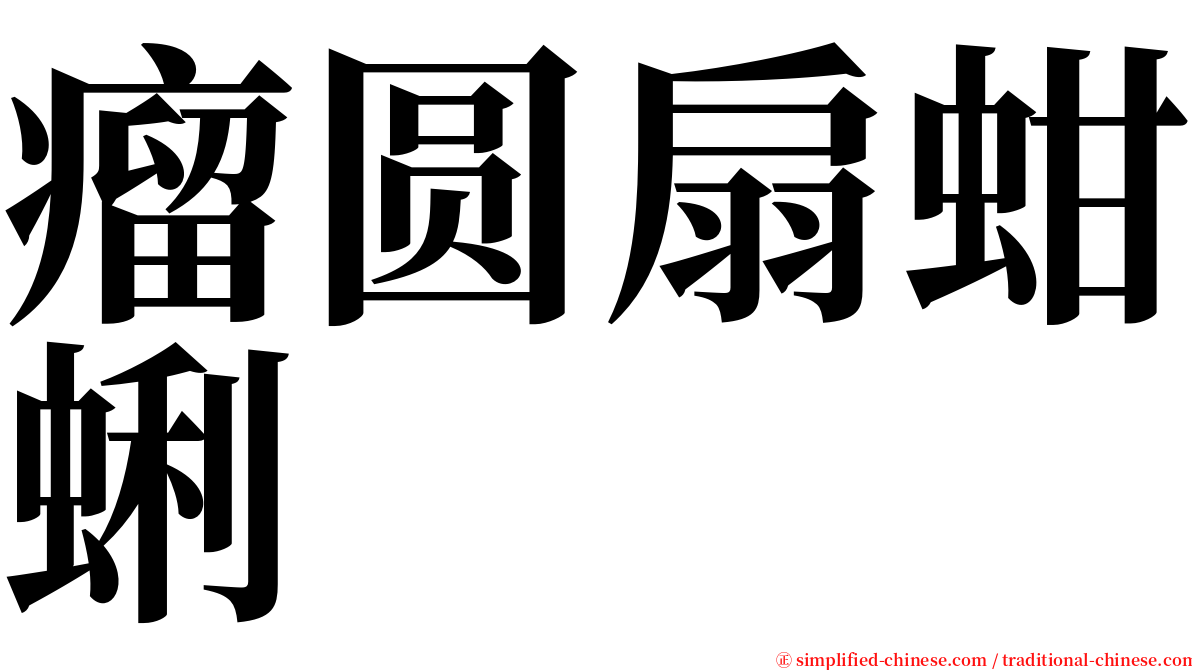 瘤圆扇蚶蜊 serif font