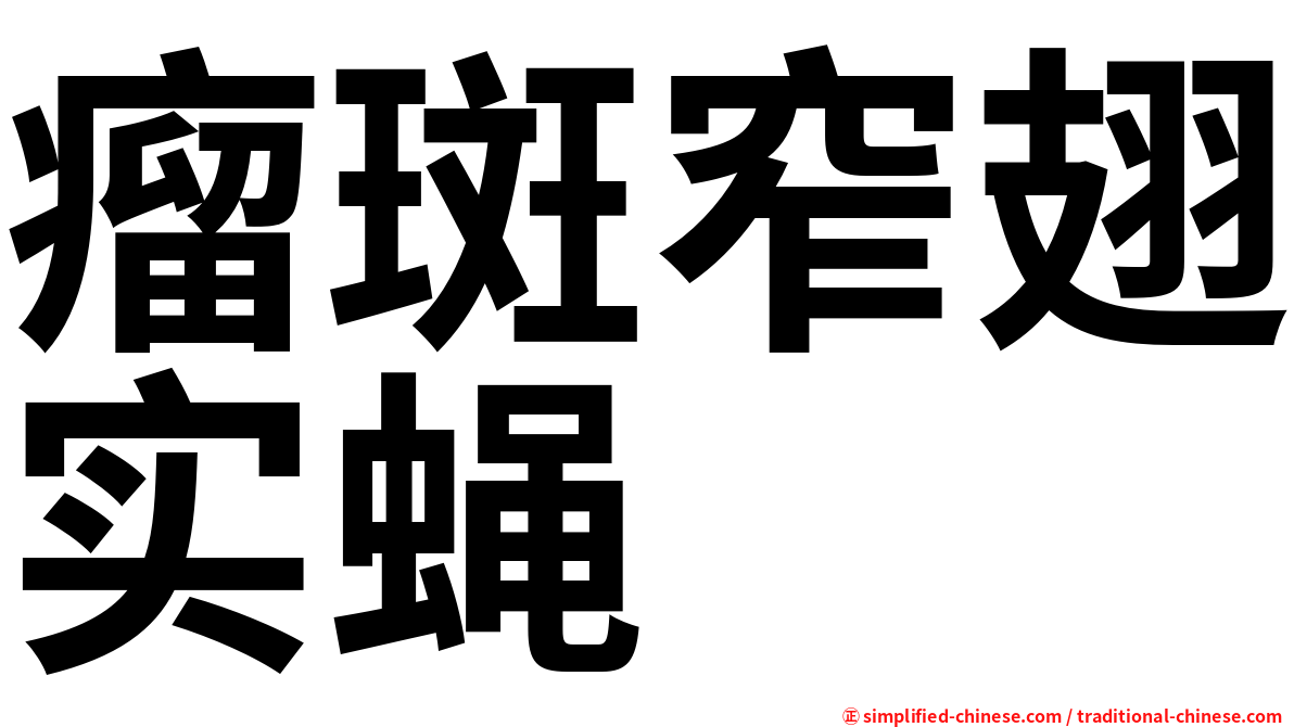 瘤斑窄翅实蝇