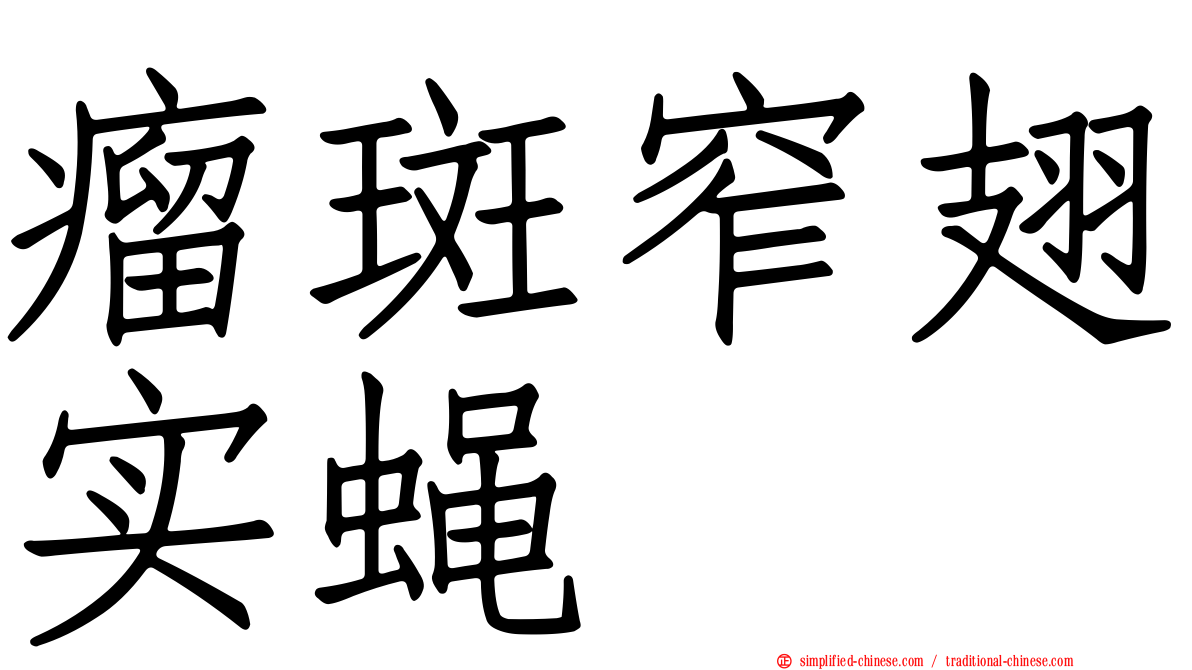 瘤斑窄翅实蝇