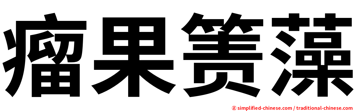瘤果箦藻