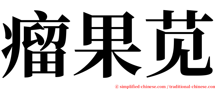 瘤果苋 serif font