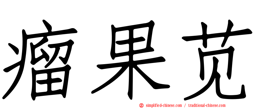 瘤果苋