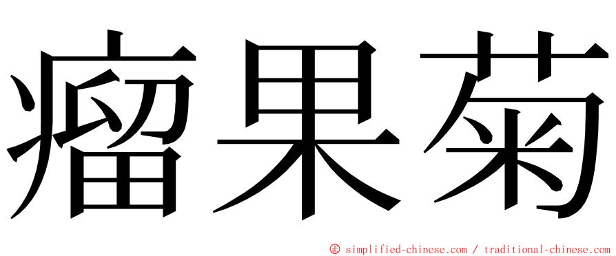 瘤果菊 ming font