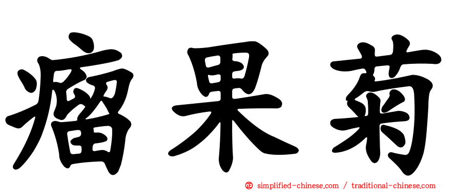 瘤果菊