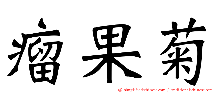 瘤果菊