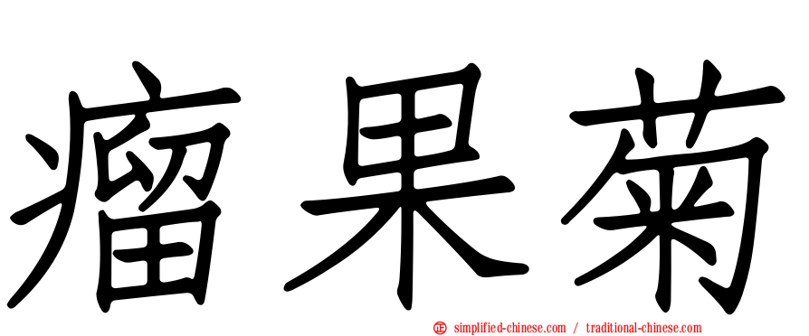 瘤果菊