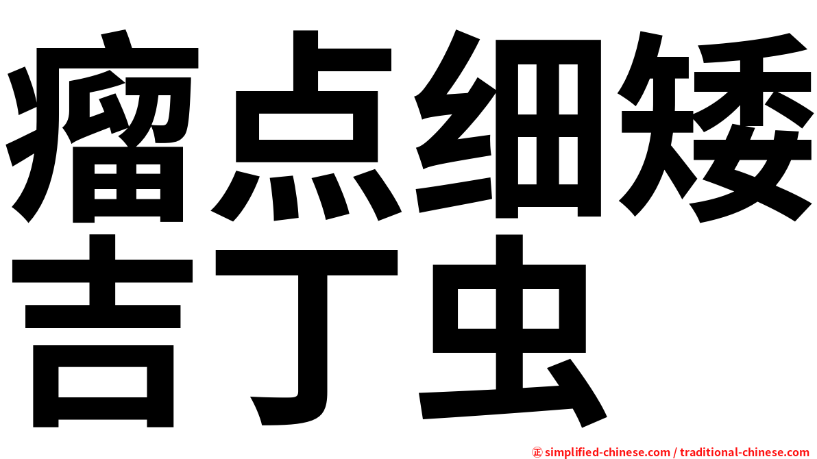 瘤点细矮吉丁虫