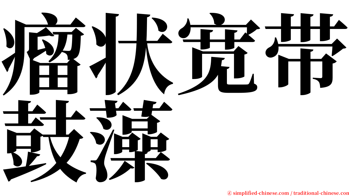 瘤状宽带鼓藻 serif font