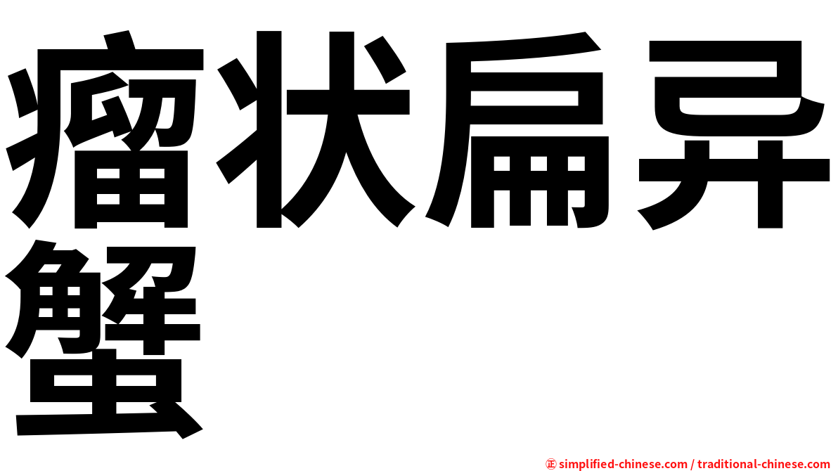 瘤状扁异蟹