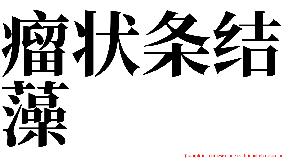 瘤状条结藻 serif font