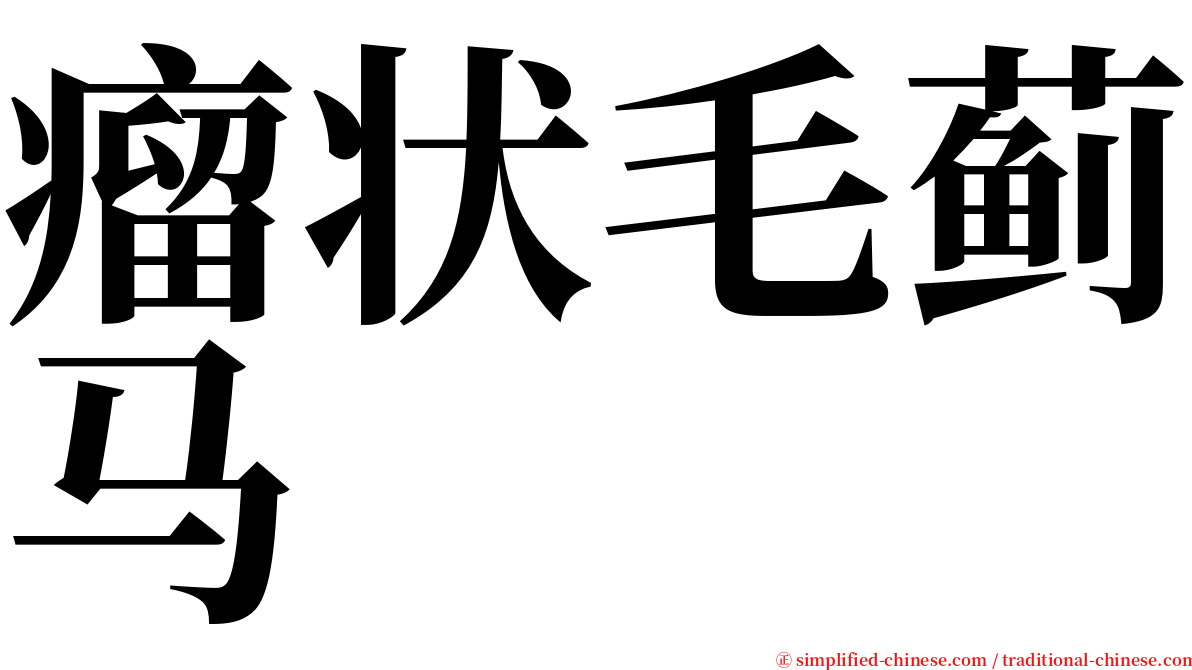 瘤状毛蓟马 serif font