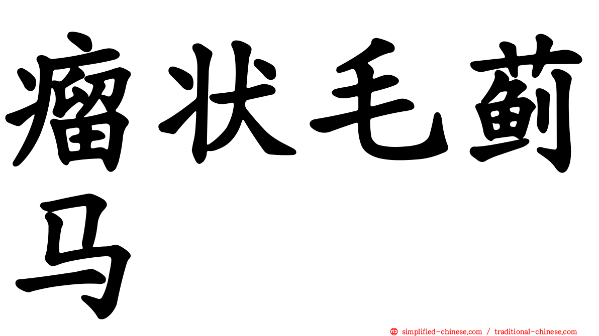瘤状毛蓟马
