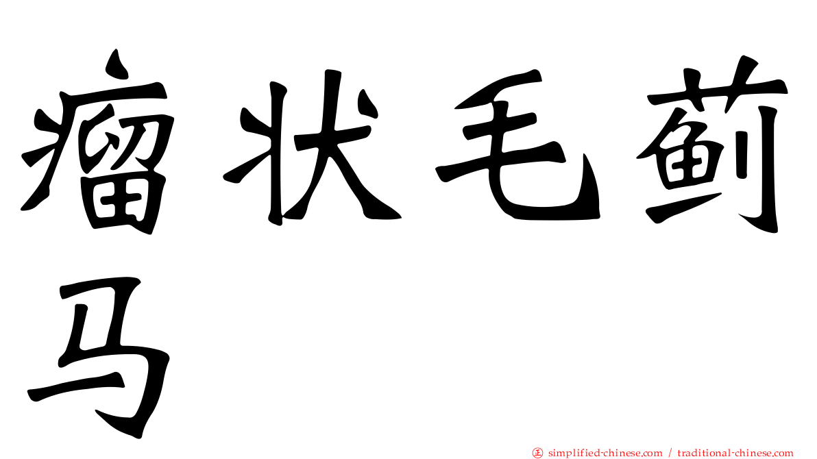 瘤状毛蓟马