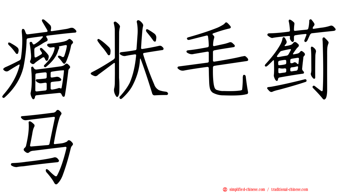 瘤状毛蓟马