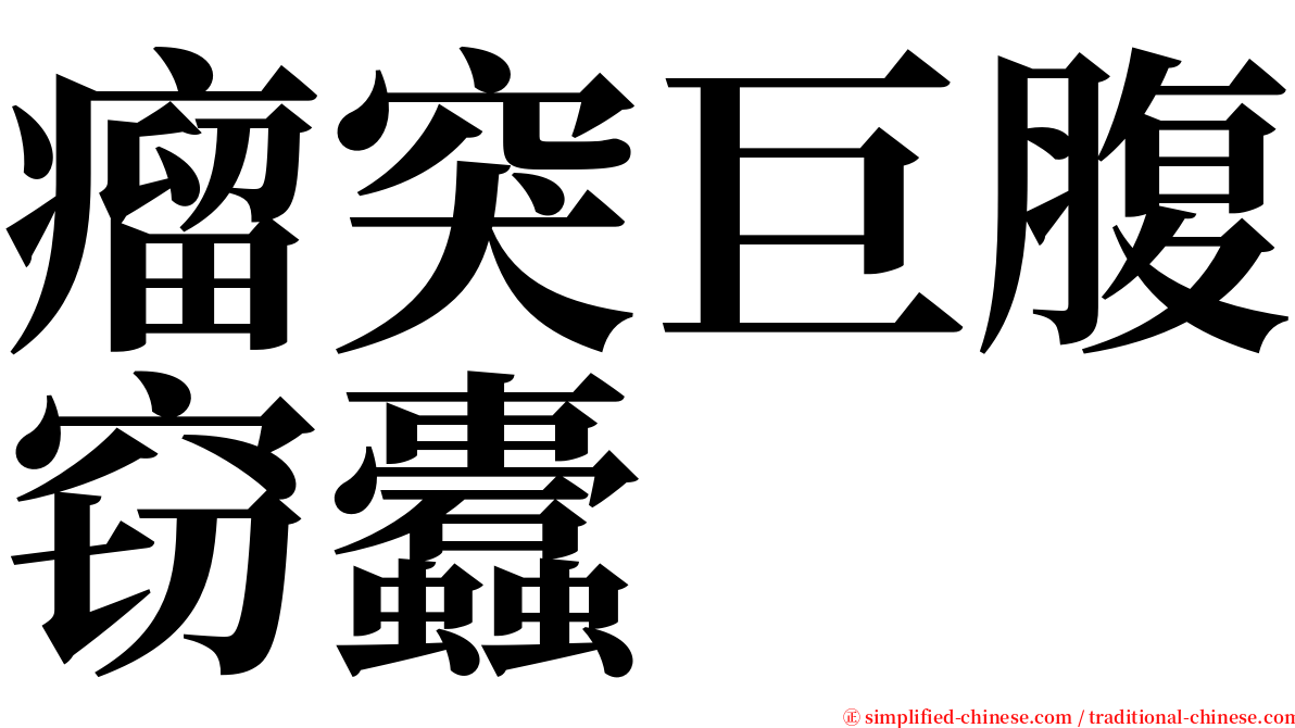 瘤突巨腹窃蠹 serif font