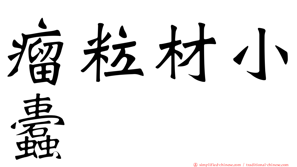 瘤粒材小蠹