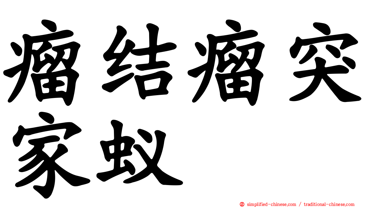 瘤结瘤突家蚁