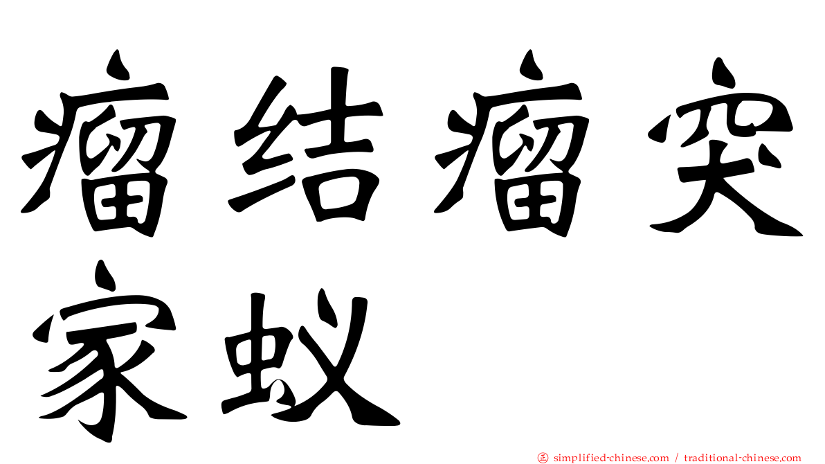 瘤结瘤突家蚁