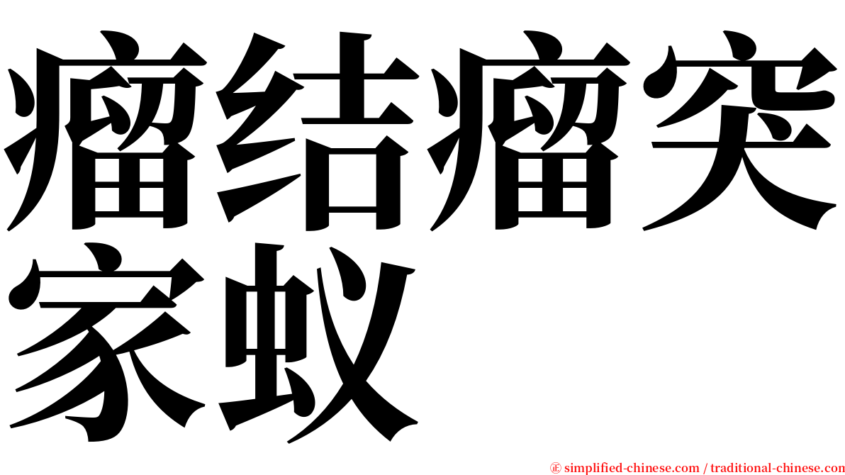 瘤结瘤突家蚁 serif font