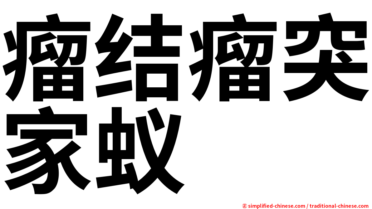 瘤结瘤突家蚁