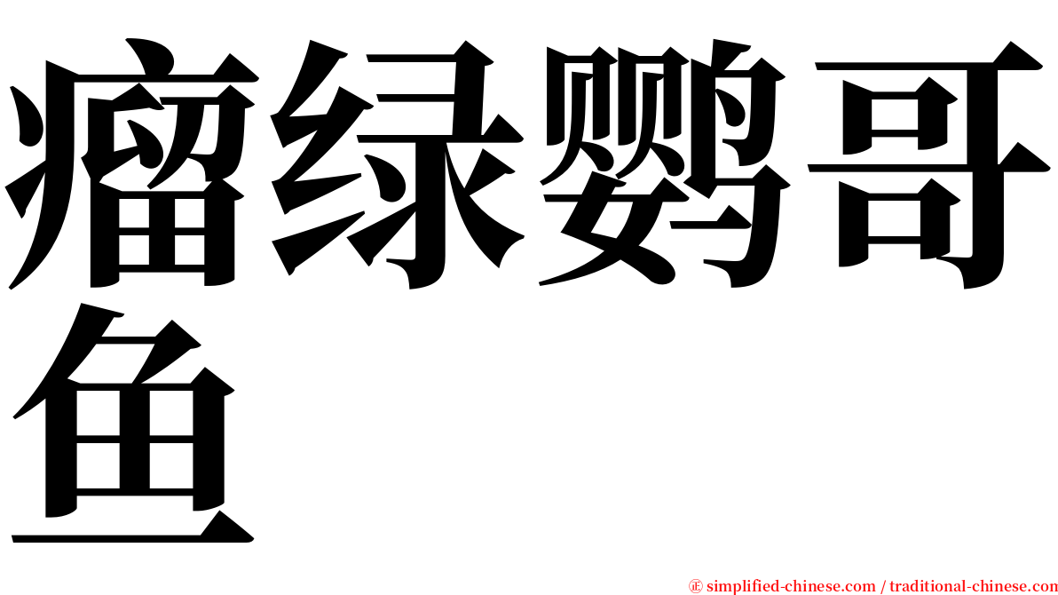 瘤绿鹦哥鱼 serif font