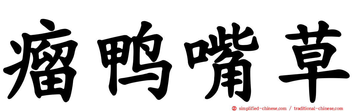 瘤鸭嘴草