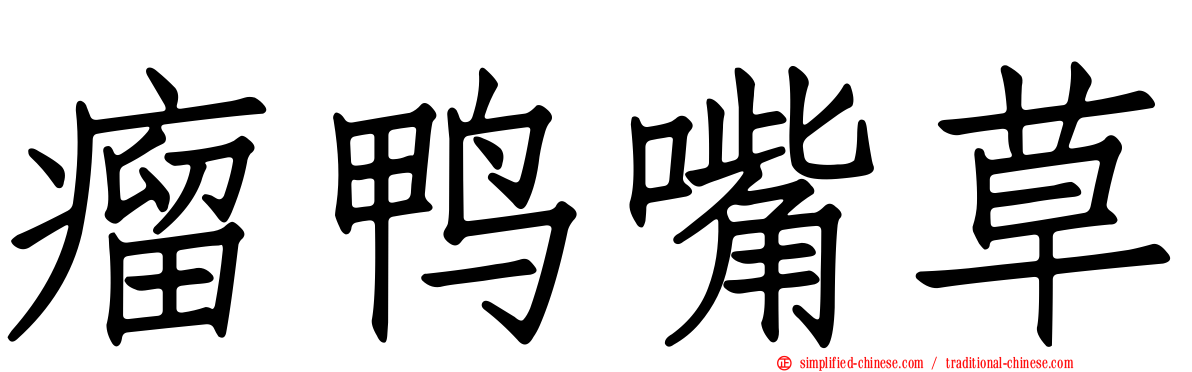 瘤鸭嘴草