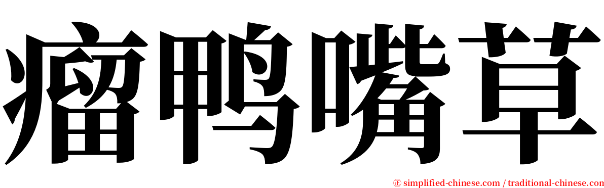 瘤鸭嘴草 serif font